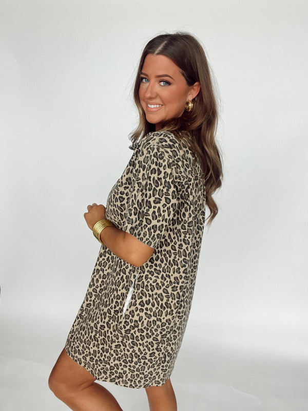 Leopard A Line Dress